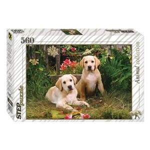 Step Puzzle (78076) - "Labrador Puppies" - 560 pieces puzzle