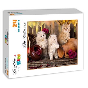 Grafika Kids (00322) - "Persian kittens" - 24 pieces puzzle