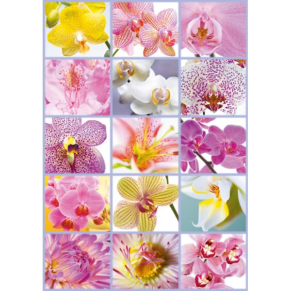 Educa (16302) - "Collage of Flowers" - 1500 pieces puzzle