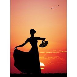 Grafika (01202) - "Flamenco at Sunset" - 2000 pieces puzzle
