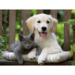 Ravensburger (14234) - "Friendly Opposites" - 500 pieces puzzle