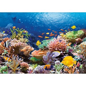 Castorland (C-101511) - "Coral Reef" - 1000 pieces puzzle