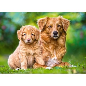 Castorland (13265) - "Always Together" - 120 pieces puzzle