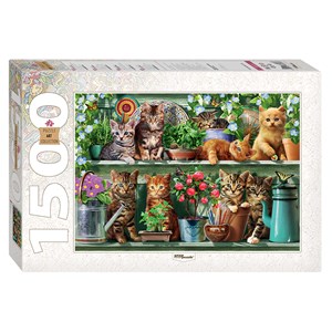Step Puzzle (83057) - "Kittens in the Shelf" - 1500 pieces puzzle
