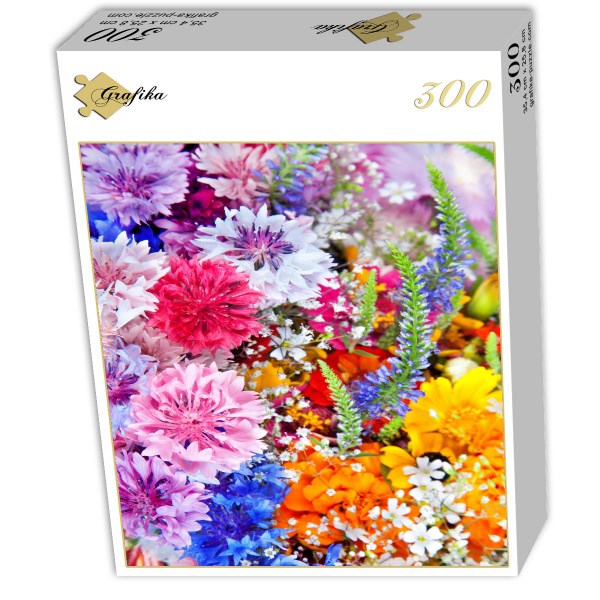Grafika (01640) - "Flower Blast" - 300 pieces puzzle